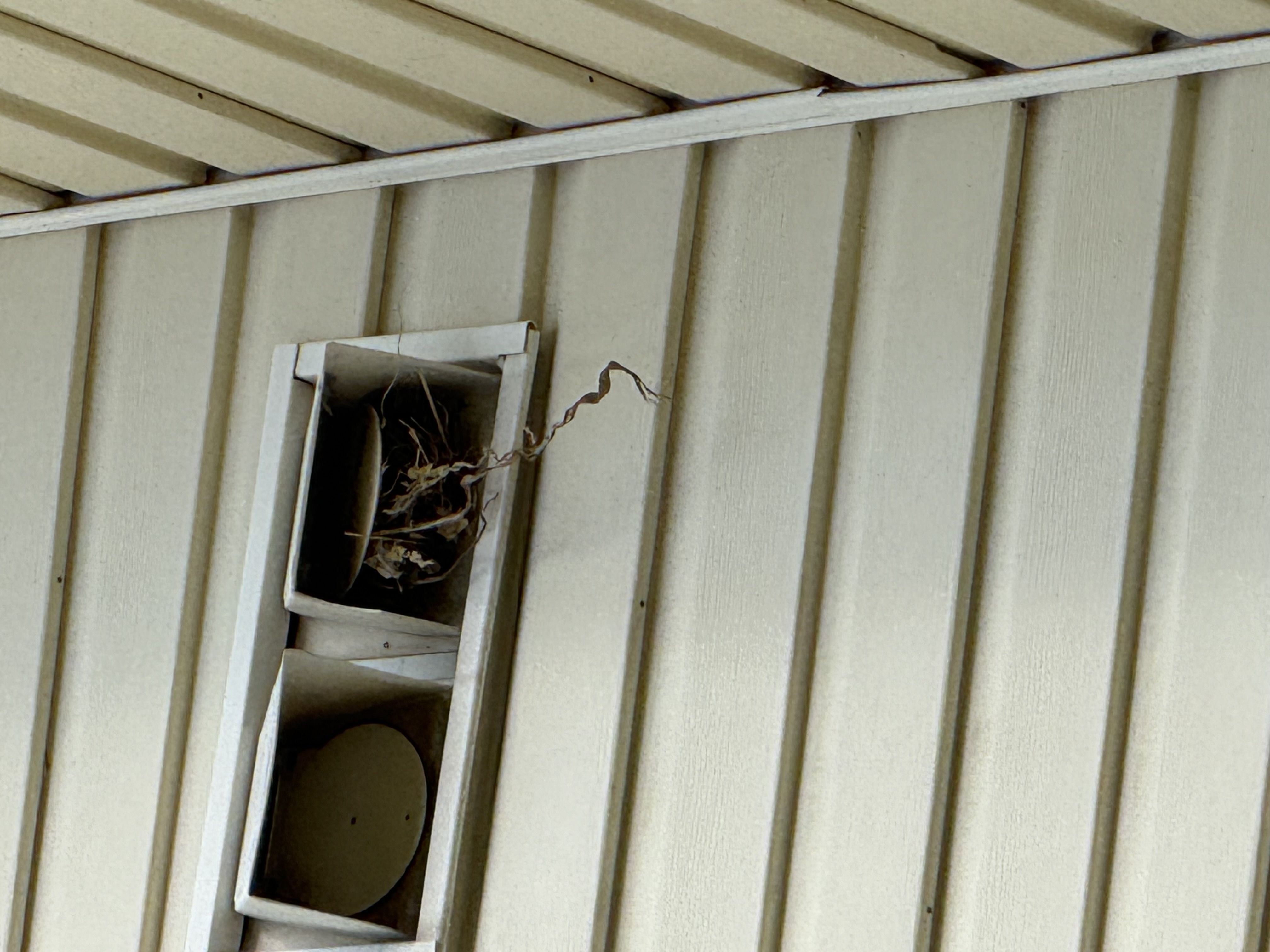 Bank of dryer vent exhausts on a multi-unit residential building