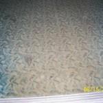 carpet maintenance prevents worn carpet