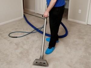 Edmonton Carpet Cleaners