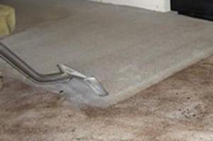 Fort McMurray Carpet Cleaning