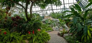 Edmonton-Attraction-Muttart-Conservatory