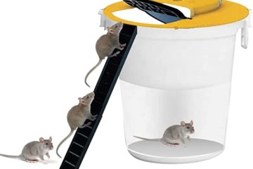 Flip and Slide Mouse Trap in action